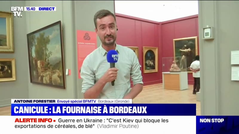 Bordeaux: face à la canicule, les musées sont gratuits pendant deux jours