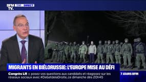 Crise migratoire entre la Pologne et la Biélorussie: "Ce que fait la Pologne de repousser les réfugiés de l'autre côté, c'est illégal", explique cet enseignant à Sciences Po