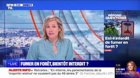 Est-il interdit de fumer en forêt? BFMTV répond à vos questions