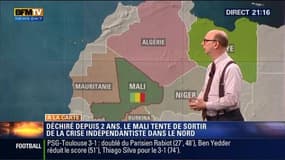 Harold à la carte: Cessez-le-feu au Mali: vers le retour de la paix et de la stabilité ? – 15/02