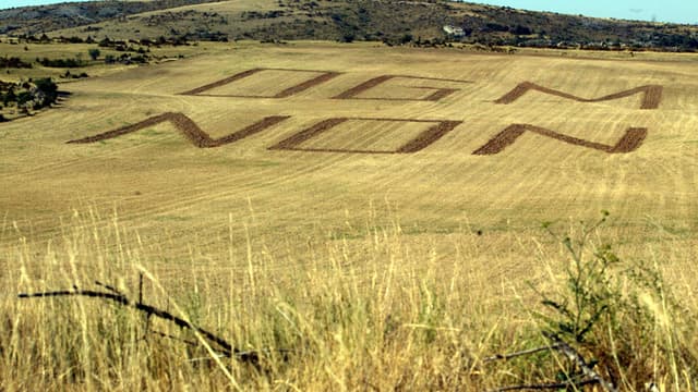 Pour François Hollande, pas question d'autoriser la culture du maïs transgénique MON 810 de Monsanto en France.