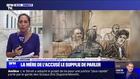 Procès du tueur de DRH: "Ce sont les procureurs de Chartres, de Valence et de Nancy qui sont responsables de la situation", la défense de Gabriel Fortin, accusé de trois meurtres 