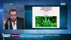 Le cannabis pour financer les retraites? 