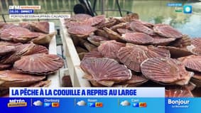 Le journal de 8h du jeudi 2 octobre 2025