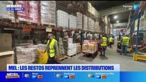 Métropole européenne de Lille: les Restos du Cœur reprennent les distributions alimentaires
