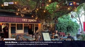 A Montmartre, la glycine de la discorde