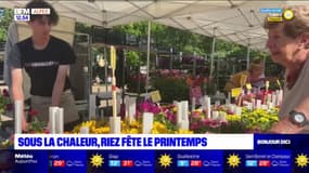 Alpes-de-Haute-Provence: la commune de Riez fête le printemps