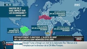 50% des espèces pourrait disparaître d'ici 2080: "Un constat catastrophique", alerte le WWF