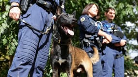 Un chien malinois de la police municipale de Strasbourg, le 27 septembre 2024 (photo d'illustration)