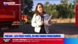 Incendie sur l'A8 à Fréjus: le feu est désormais fixé