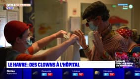 Le Havre: des clowns à l'hôpital 