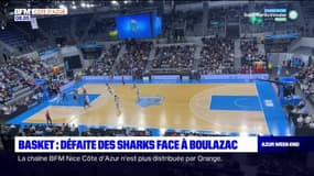 Basket: les Sharks d'Antibes se sont inclinés face à Boulazac