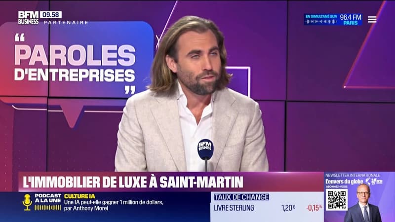 Harrison Drouin-Reed (St. Martin Sotheby's International Realty) : L'immobilier de luxe à Saint-Martin - 15/02