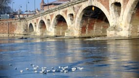 Des oiseaux marchent sur la glace formée sur la Garonne à Toulouse, le 9 février 2012. Photo d'illustration