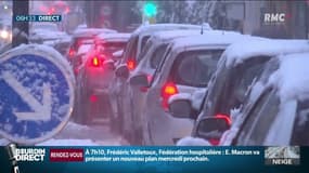 Neige: un sexagénaire meurt à cause de la chute d'un arbre