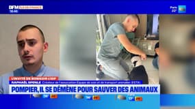 Essonne: un pompier veut créer un service de secours animalier