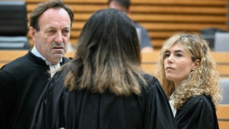 PROCÈS DE CÉDRIC JUBILLAR: UN GENDARME RECONNAÎT "UNE ERREUR DE COPIER-COLLER" DANS L'ENQUÊTE SUR LA TÉLÉPHONIE