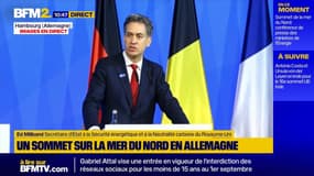 "L'éolien en mer est pour les gagnants": un secrétaire d'Etat britannique répond aux critiques de Donald Trump