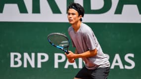 Taro Daniel