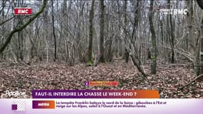 L'accident de chasse survenu ce week-end dans le Cantal relance le débat