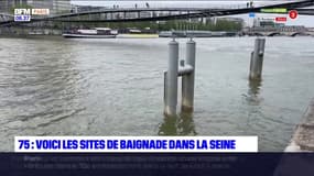 Baignade dans la Seine: les trois sites de la capitale dévoilés 