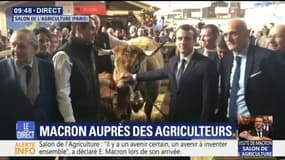 Macron pose avec Haute, la vache-égérie du Salon de l’agriculture