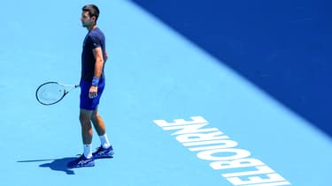 Novak DJOKOVIC le 12/01/2022 à l'Open d'Australie