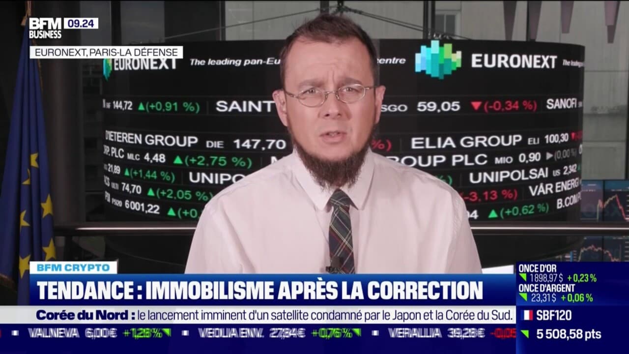 15e sommet des BRICS : bientôt un élargissement ?