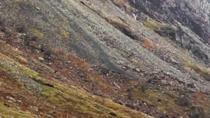 Aileron, diffuseur, tout est aux normes du WRC sur cette Fiesta. Aileron, diffuseur, tout est aux normes du WRC sur cette Fiesta.