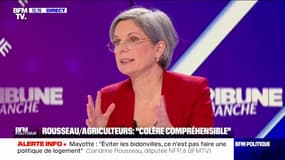Sandrine Rousseau (Les Écologistes), sur l'écologie: "Nous n'arrivons pas à porter une autre vision de la société et à la faire entendre"