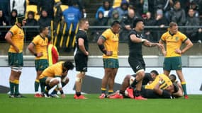 All Blacks et Wallabies dos à dos