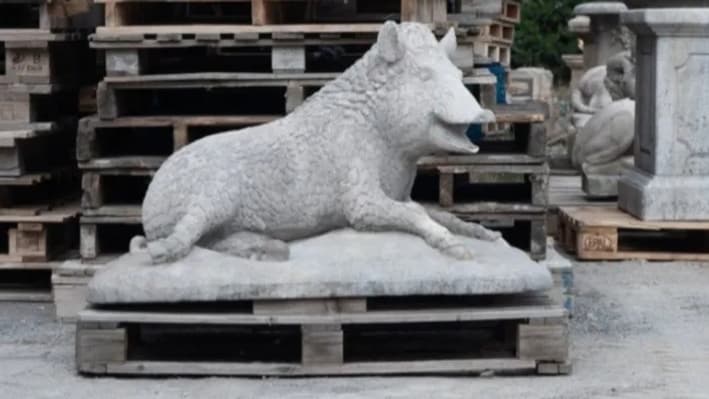 La statue en hommage à Pumba que souhaitent voir ériger les habitants de Montauroux, dans le Var, depuis ce dimanche 26 février. La statue en hommage à Pumba que souhaitent voir ériger les habitants de Montauroux, dans le Var, depuis ce dimanche 26 février.