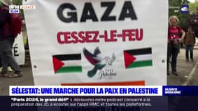 Alsace: une marche pour la paix en Palestine rassemble une centaine de personnes