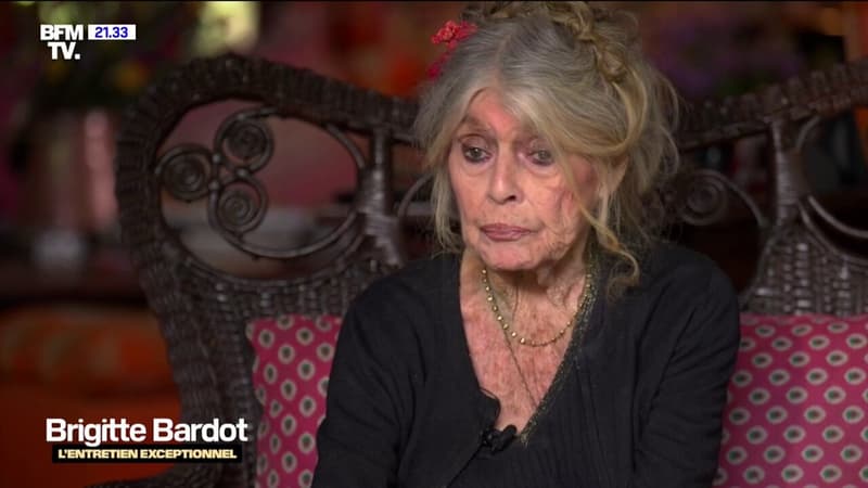 "Je n'aime pas du tout l'époque que l'on vit actuellement": après 11 ans d'absence, Brigitte Bardot se confie dans une interview exclusive thumbnail