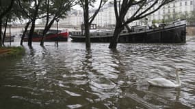 A Paris, le niveau de le Saine est préoccupant