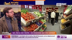 Bio/Recul des ventes : Ces enseignes qui s'en sortent