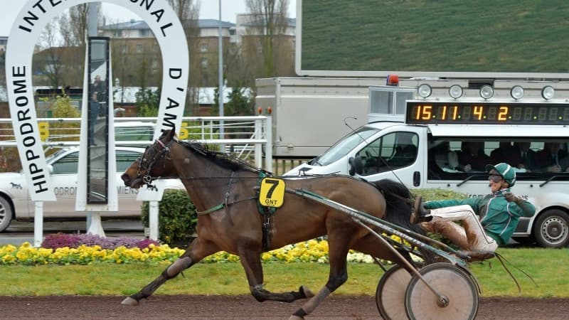 Les pronos hippiques du 5 mars 2025