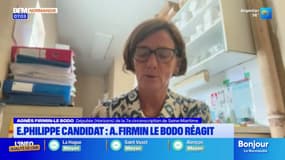 Édouard Philippe candidat à la présidentielle: la réaction d'Agnès Firmin-Le Bodo