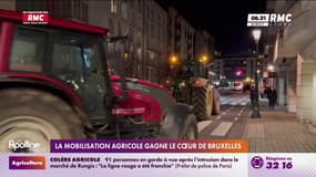 La mobilisation agricole gagne le cœur de Bruxelles
