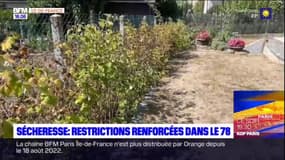 Sécheresse dans les Yvelines: les restrictions renforcées par la préfecture