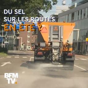 Aux Pays-Bas, on répand aussi du sel sur les routes pour lutter... contre la canicule 