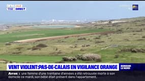 Vent violent: le Pas-de-Calais placé en vigilance orange