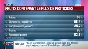 Dupin Quotidien : Quels sont les fruits et légumes les plus pollués aux pesticides ? - 20/02