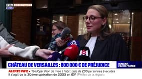 Château de Versailles: 800.000 euros de préjudice 