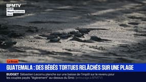 Le break du 3 octobre