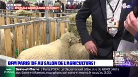 Salon de l'Agriculture: rencontre avec les éleveurs franciliens
