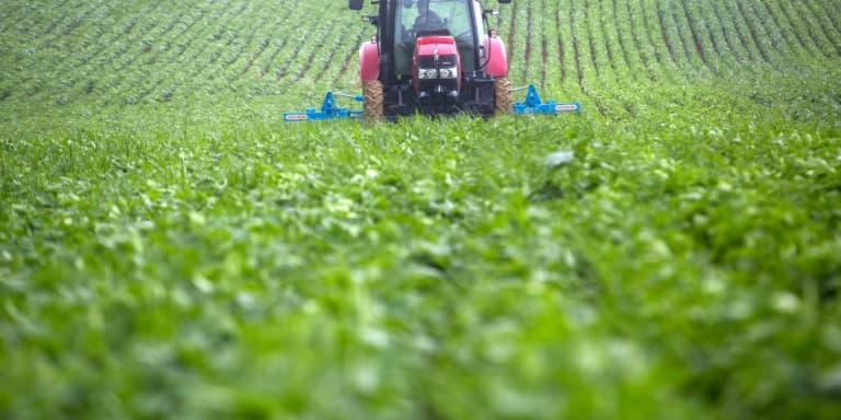 Un agriculteur conduit un tracteur dans un champ de soja, le 12 juillet 2021 à Peguilhan, dans le sud de la France