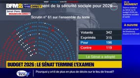 Le Sénat adopte un budget de la Sécurité sociale largement remanié