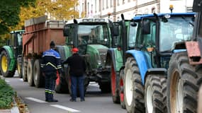 Des agriculteurs lors d'un rassemblement organisé par la FDSEA du Bas-Rhin et les Jeunes Agriculteurs du Bas-Rhin, le 21 octobre 2024 à Strasbourg