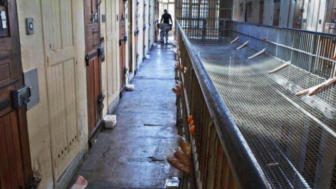 Distribution des repas dans la prison des Baumettes.